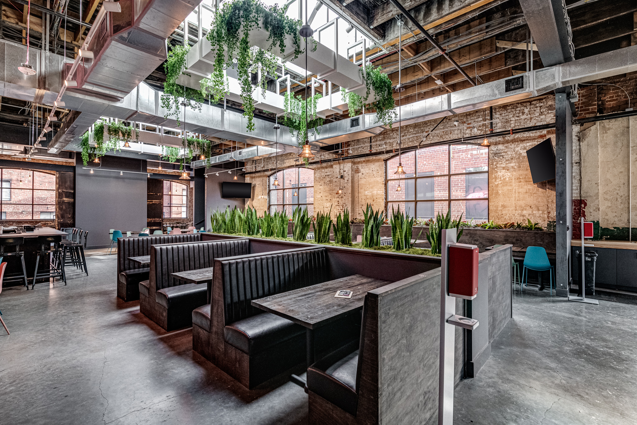 Resident Culture tables under skylight with draping plants
